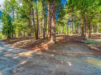 954 Red Fox Road, Clio, CA 96106 Photo