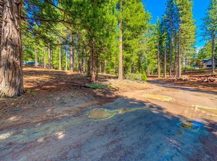 954 Red Fox Road, Clio, CA 96106 Photo
