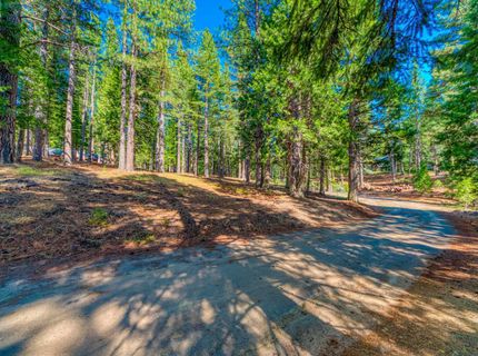 954 Red Fox Road, Clio, CA 96106 Photo