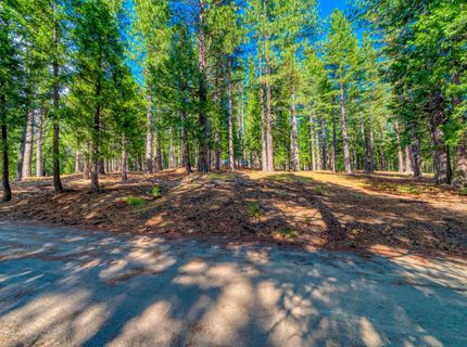 954 Red Fox Road, Clio, CA 96106 Photo