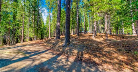 954 Red Fox Road, Clio, CA 96106 Photo