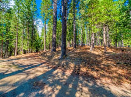 954 Red Fox Road, Clio, CA 96106 Photo