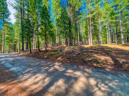 954 Red Fox Road, Clio, CA 96106 Photo