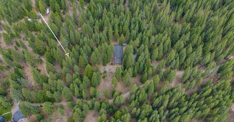 954 Red Fox Road, Clio, CA 96106 Photo