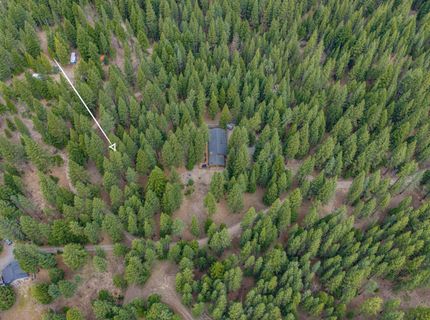 954 Red Fox Road, Clio, CA 96106 Photo