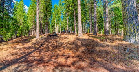954 Red Fox Road, Clio, CA 96106 Photo