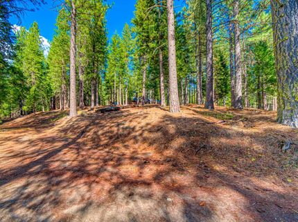 954 Red Fox Road, Clio, CA 96106 Photo