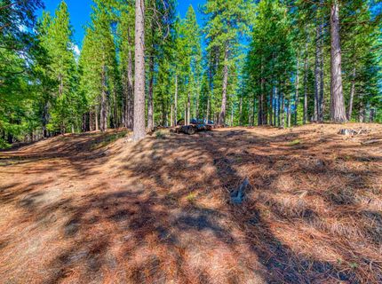 954 Red Fox Road, Clio, CA 96106 Photo