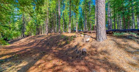 954 Red Fox Road, Clio, CA 96106 Photo