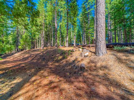 954 Red Fox Road, Clio, CA 96106 Photo