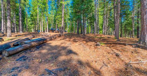 954 Red Fox Road, Clio, CA 96106 Photo