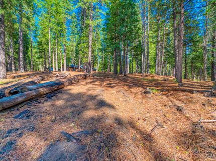 954 Red Fox Road, Clio, CA 96106 Photo