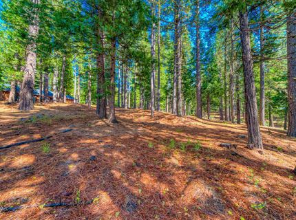 954 Red Fox Road, Clio, CA 96106 Photo