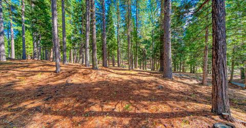 954 Red Fox Road, Clio, CA 96106 Photo