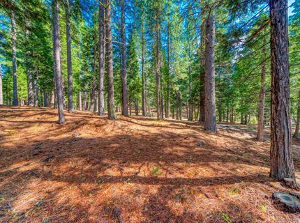 954 Red Fox Road, Clio, CA 96106 Photo
