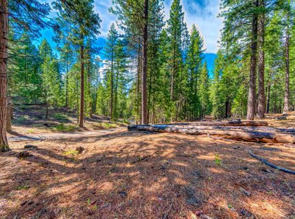 954 Red Fox Road, Clio, CA 96106 Photo
