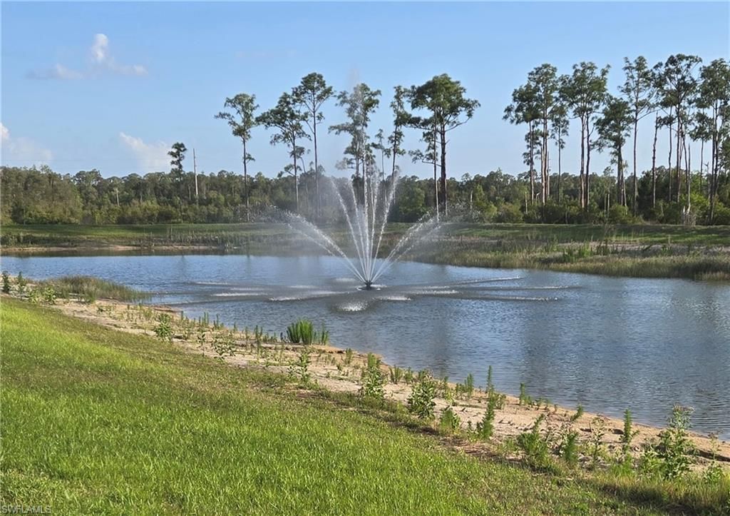 20352 Camino Torcido Loop, North Fort Myers, FL 33917 Photo