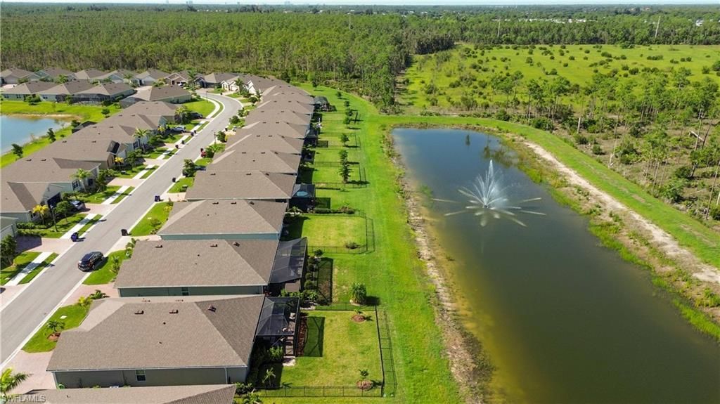 20352 Camino Torcido Loop, North Fort Myers, FL 33917 Photo