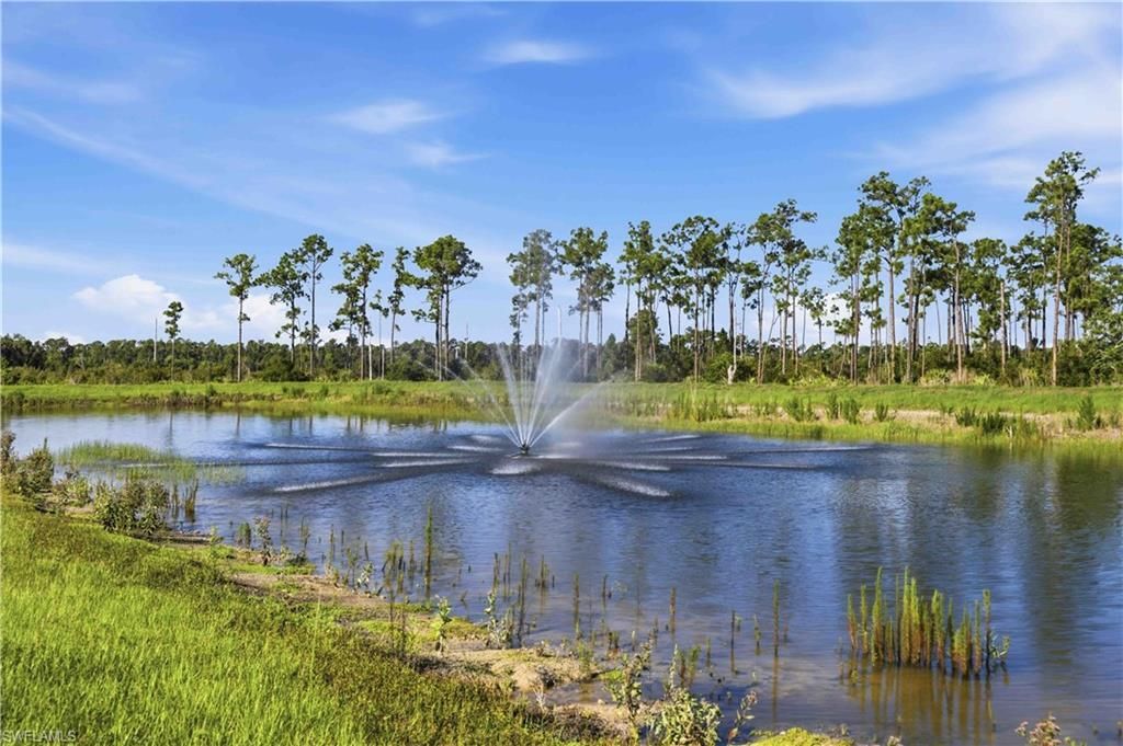 20352 Camino Torcido Loop, North Fort Myers, FL 33917 Photo