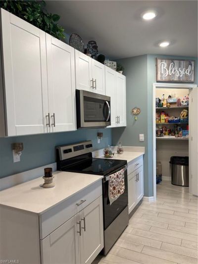 20352 Camino Torcido Loop, North Fort Myers, FL 33917 Photo