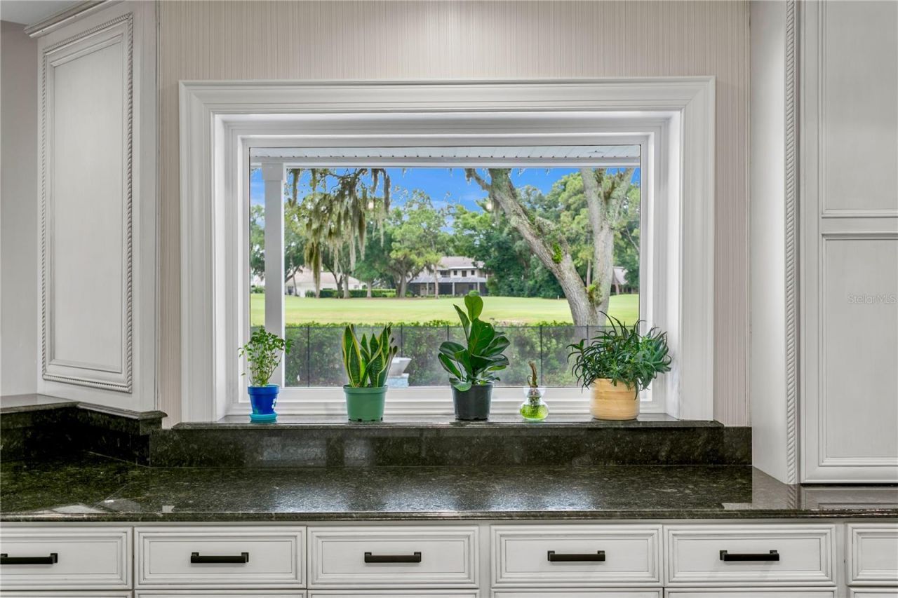 16601 Avila Boulevard, Tampa, FL 33613 Photo