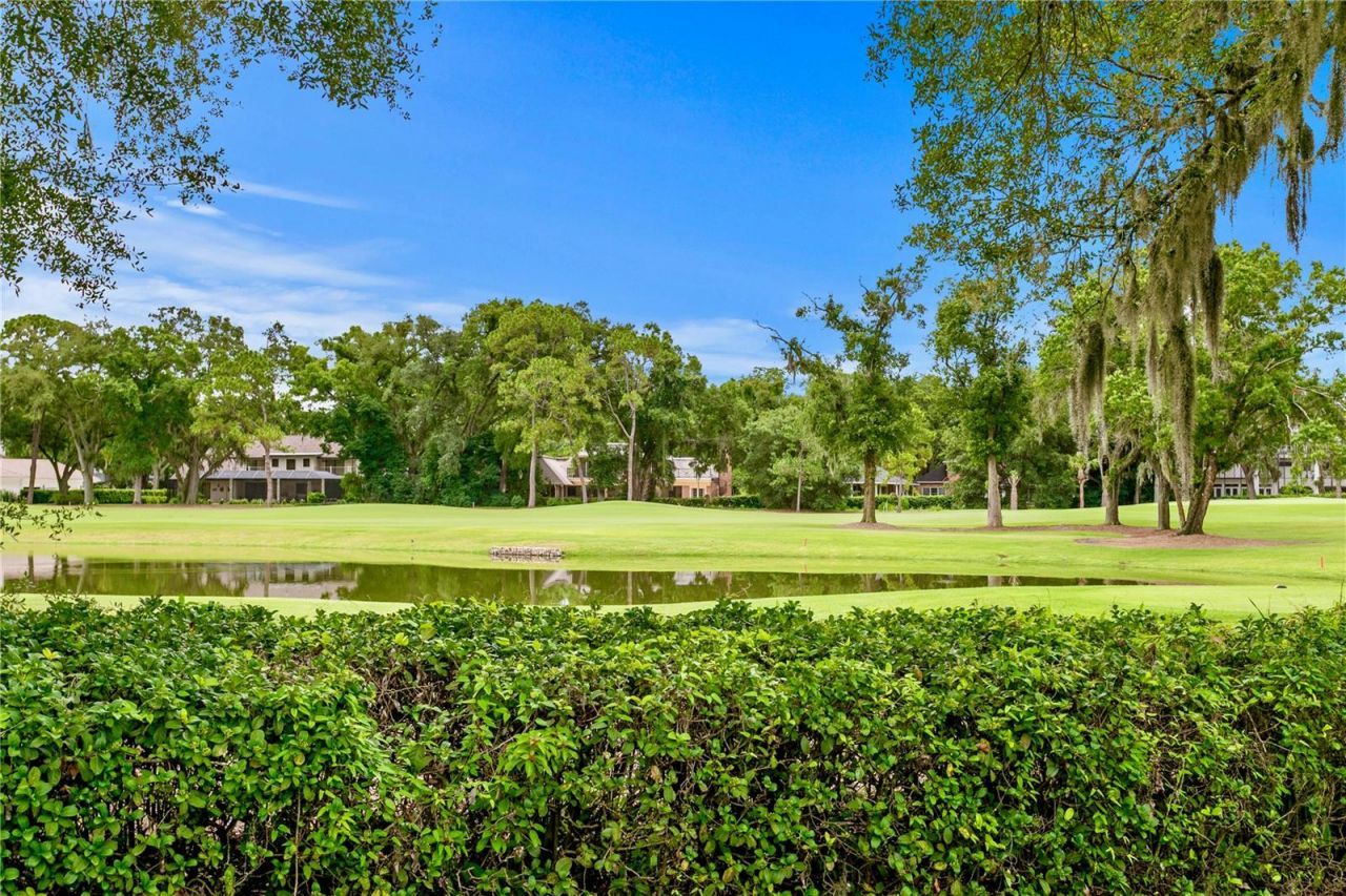 16601 Avila Boulevard, Tampa, FL 33613 Photo