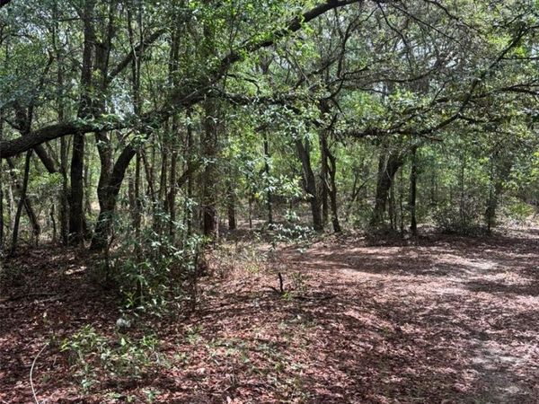 83RD LANE , BRONSON, FL 32621