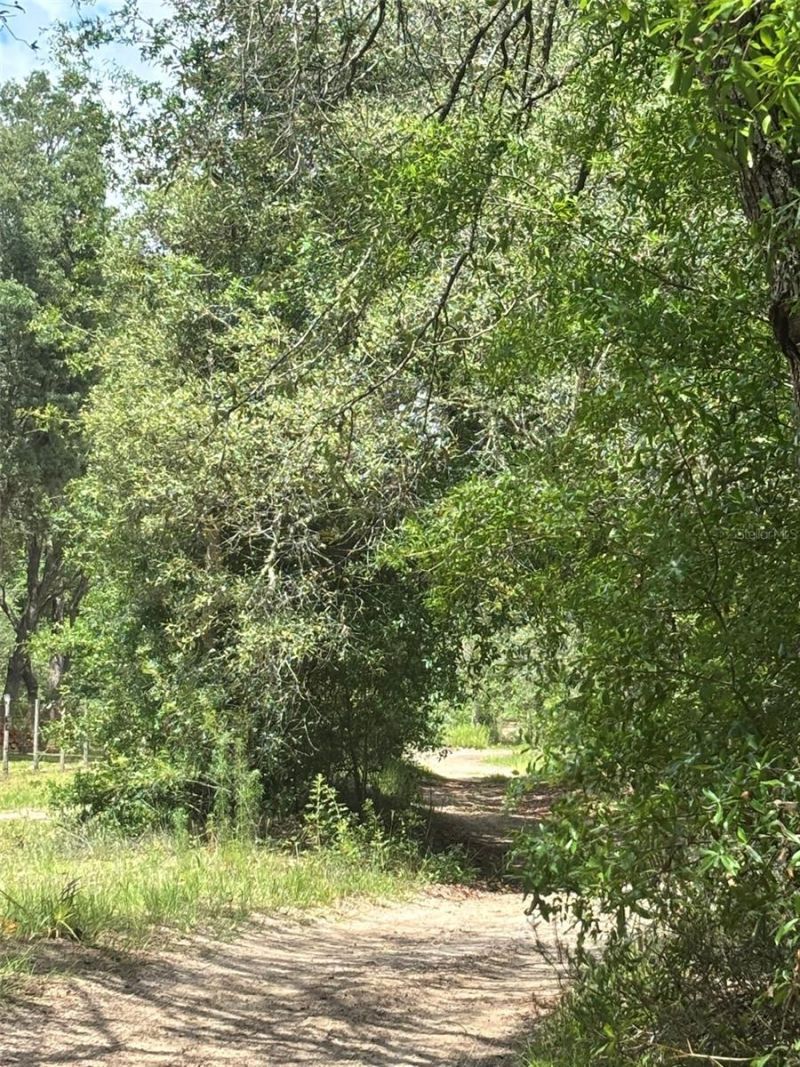 83rd Lane , Bronson, FL 32621 Photo