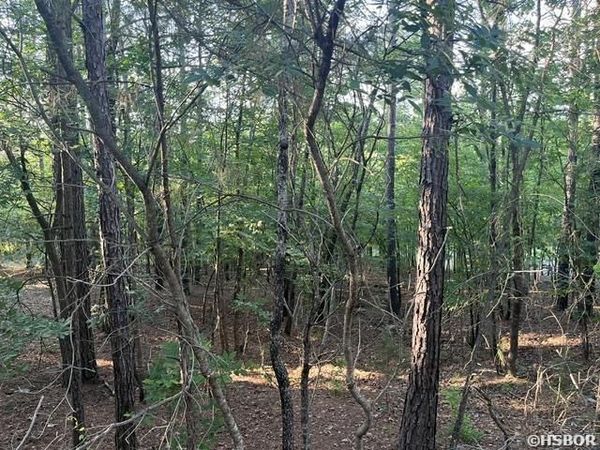 26 PIOCHA Lane, Hot Springs Village, AR 71909
