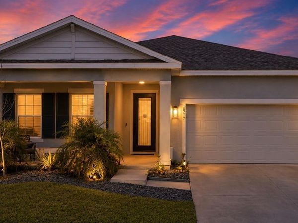 18217 FALLING PINE NEEDLE LANE, LAND O LAKES, FL 34638