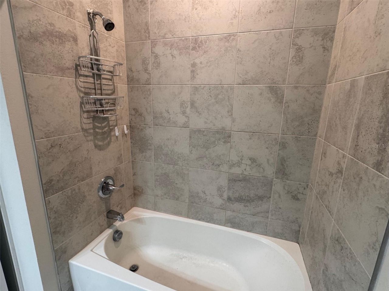 18217 Falling Pine Needle Lane, Land O Lakes, FL 34638 Photo