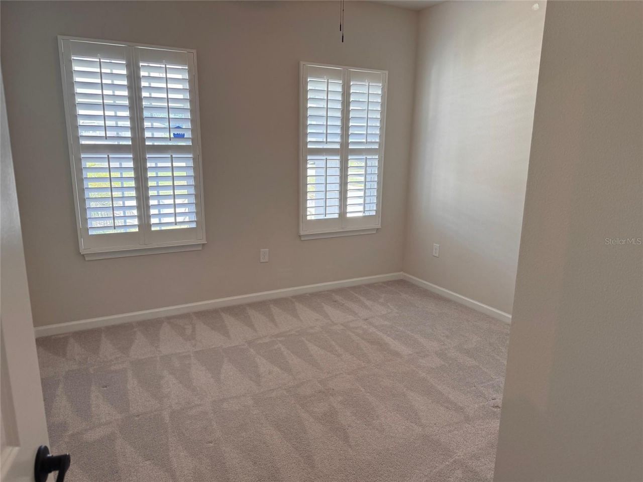 18217 Falling Pine Needle Lane, Land O Lakes, FL 34638 Photo