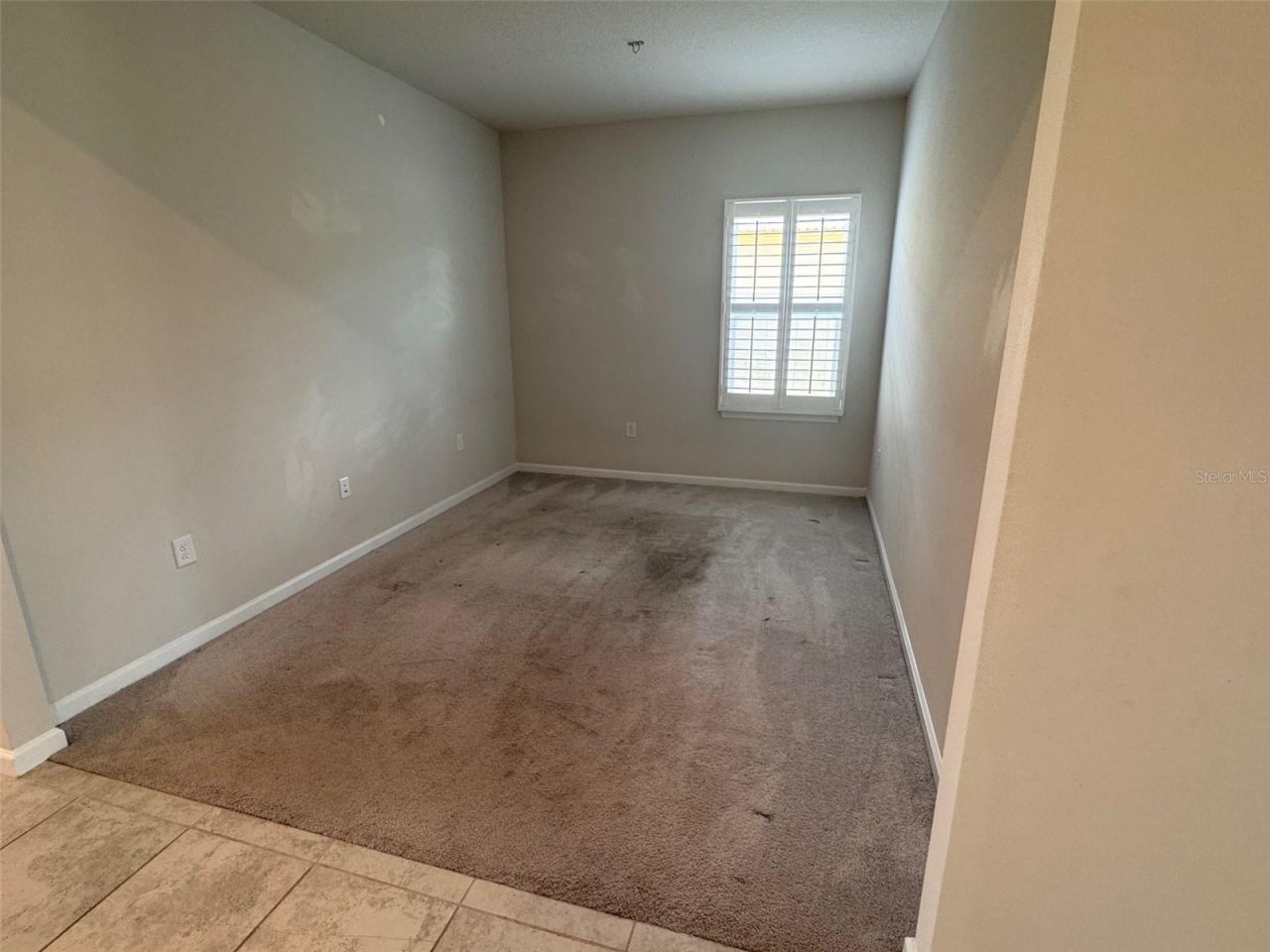 18217 Falling Pine Needle Lane, Land O Lakes, FL 34638 Photo