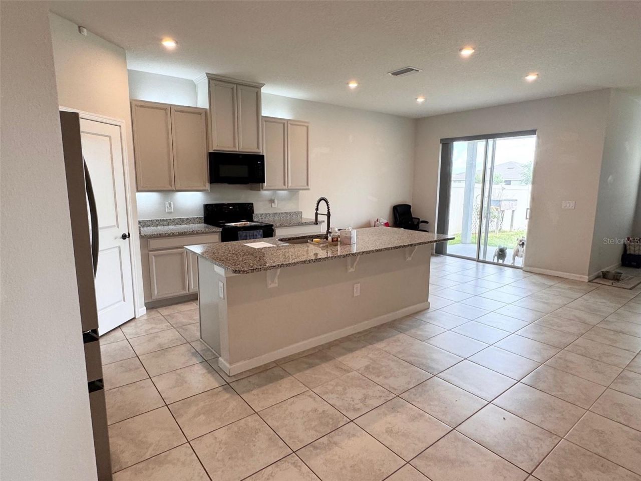 18217 Falling Pine Needle Lane, Land O Lakes, FL 34638 Photo