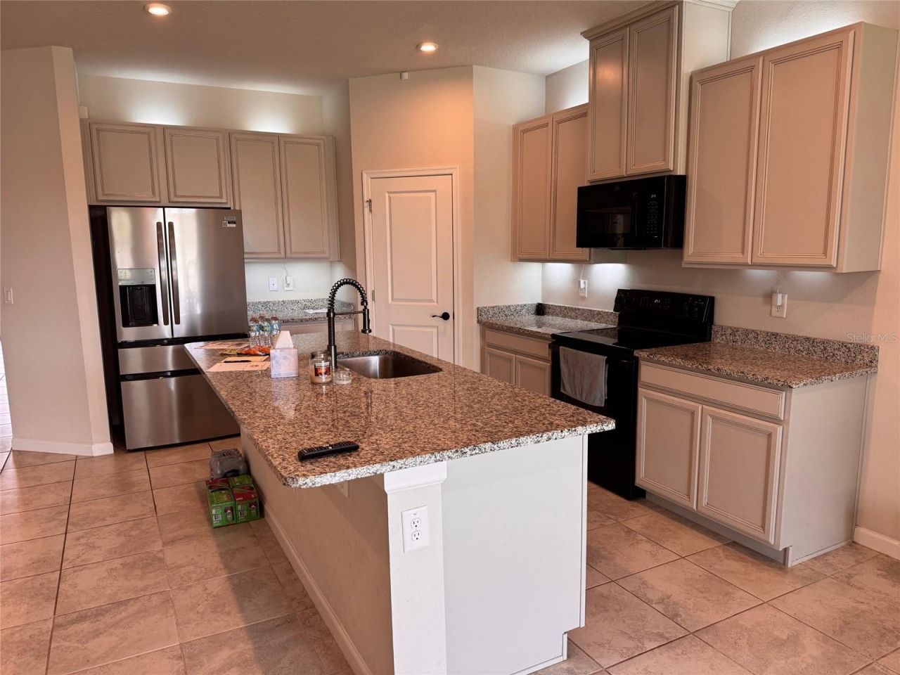 18217 Falling Pine Needle Lane, Land O Lakes, FL 34638 Photo