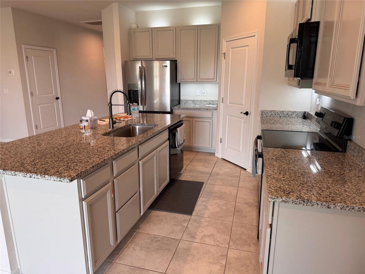 18217 Falling Pine Needle Lane, Land O Lakes, FL 34638 Photo