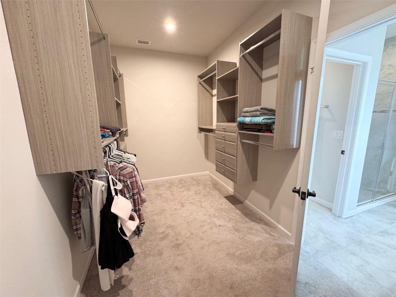 18217 Falling Pine Needle Lane, Land O Lakes, FL 34638 Photo