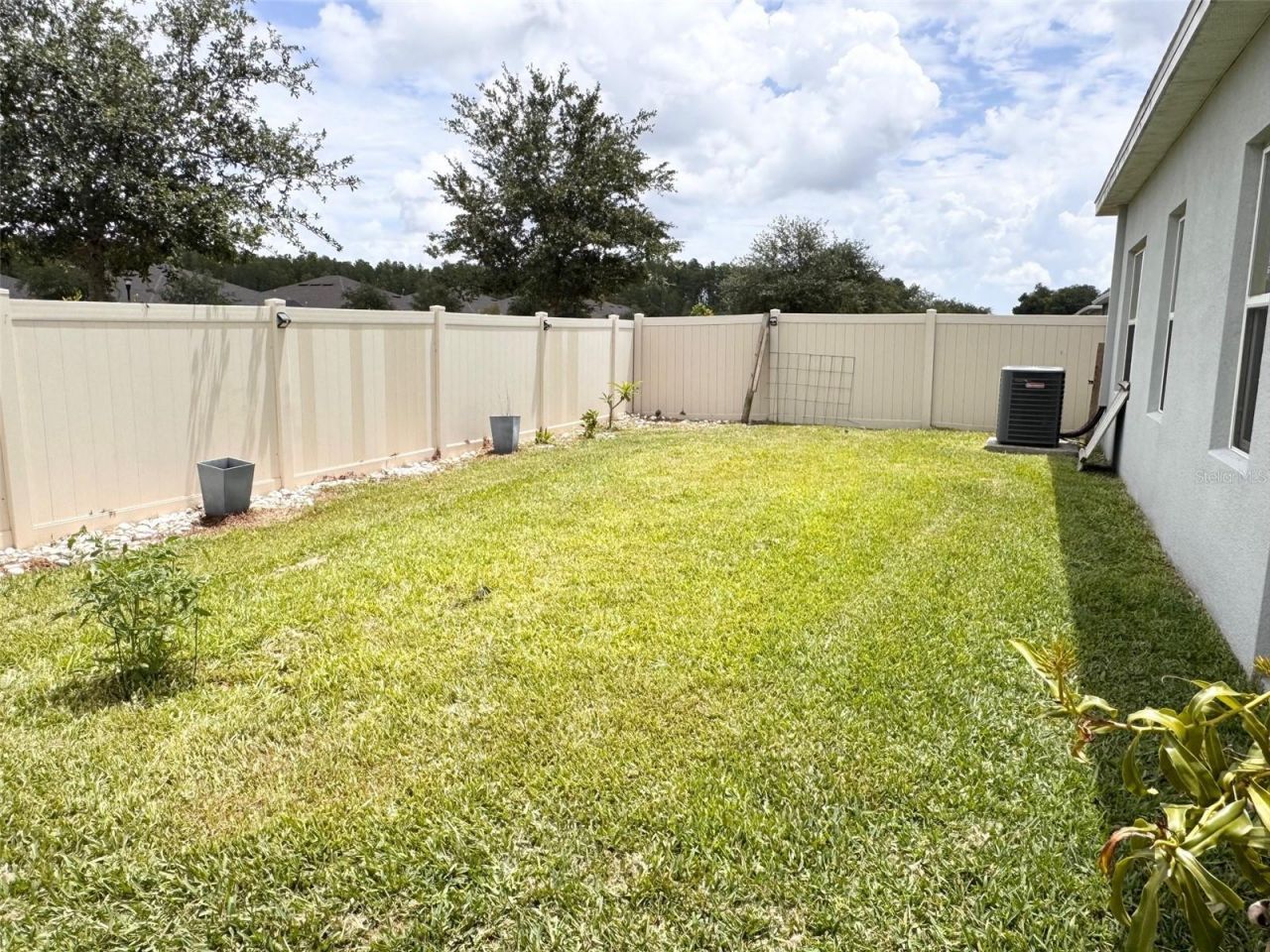 18217 Falling Pine Needle Lane, Land O Lakes, FL 34638 Photo