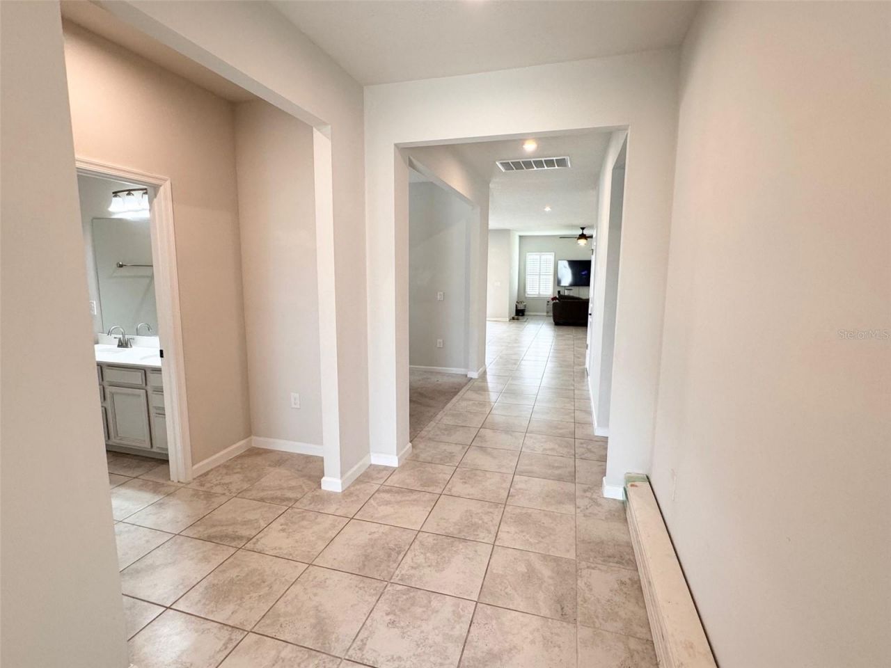 18217 Falling Pine Needle Lane, Land O Lakes, FL 34638 Photo