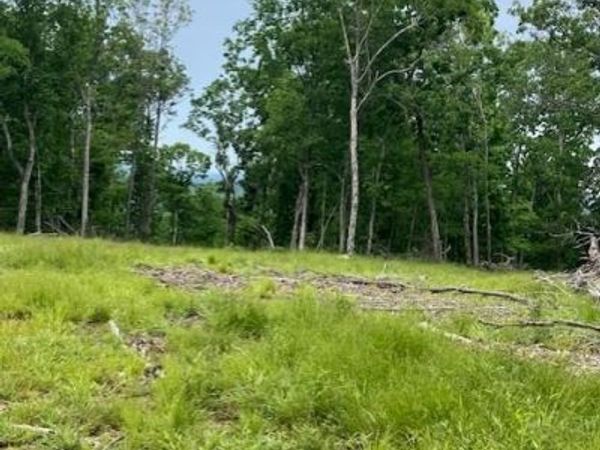 237 Madison CR 410 , Fredericktown, MO 63645