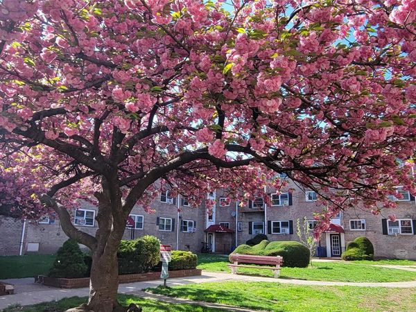 66-10 111 Street, Unit 3B, Forest Hills, NY 11375
