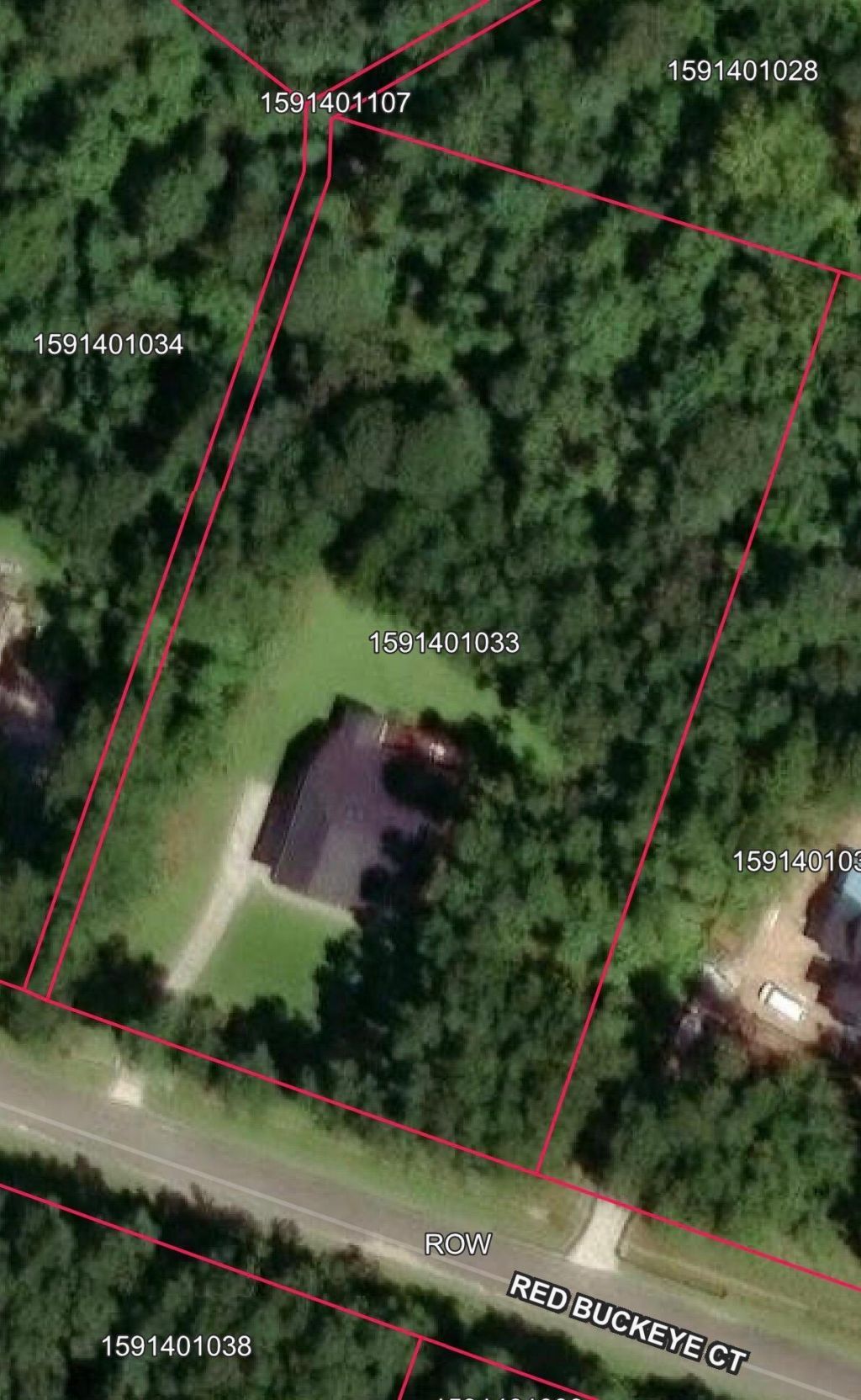 1206 Red Buckeye Court Photo 6