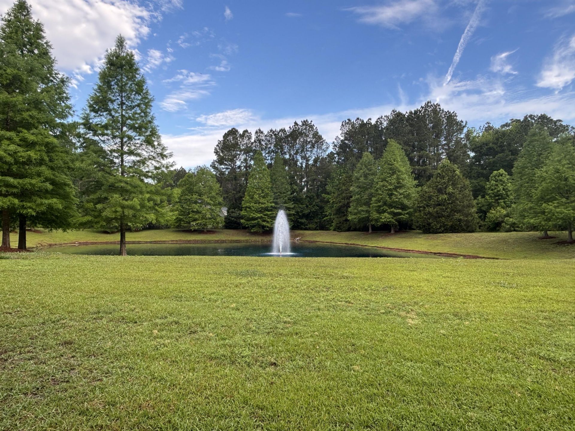 1206 Red Buckeye Court Photo 71