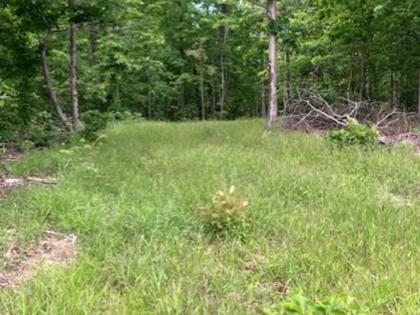 238 Madison CR 410 , Fredericktown, MO 63645