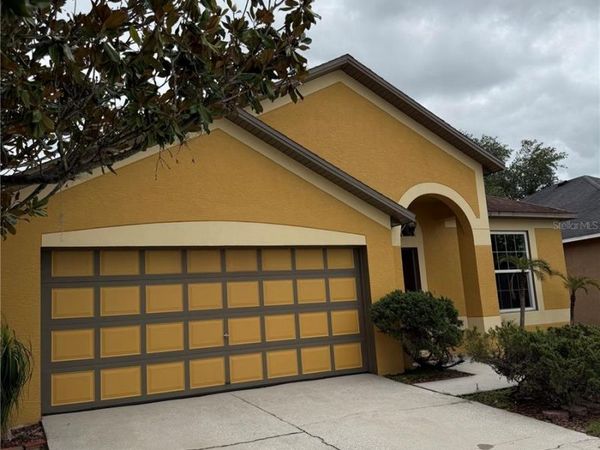 919 GRAND CANYON DRIVE , VALRICO, FL 33594