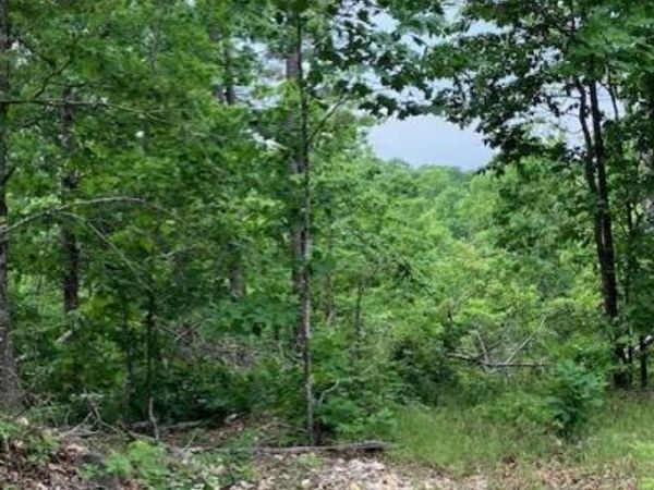 239 Madison CR 410 , Fredericktown, MO 63645