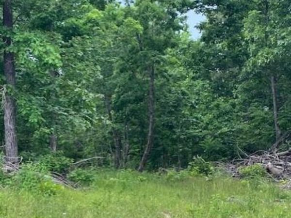 240 Madison CR 410 , Fredericktown, MO 63645