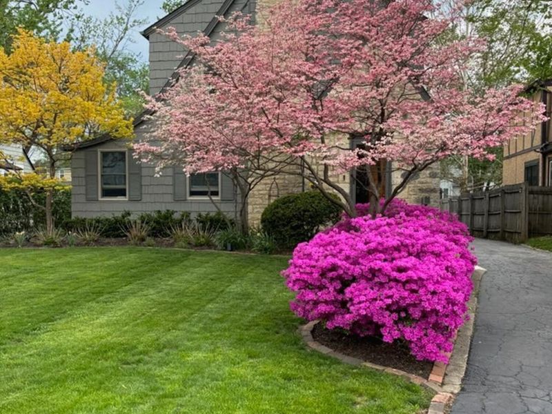 253 N Remington Road, Columbus, OH 43209 Photo 64