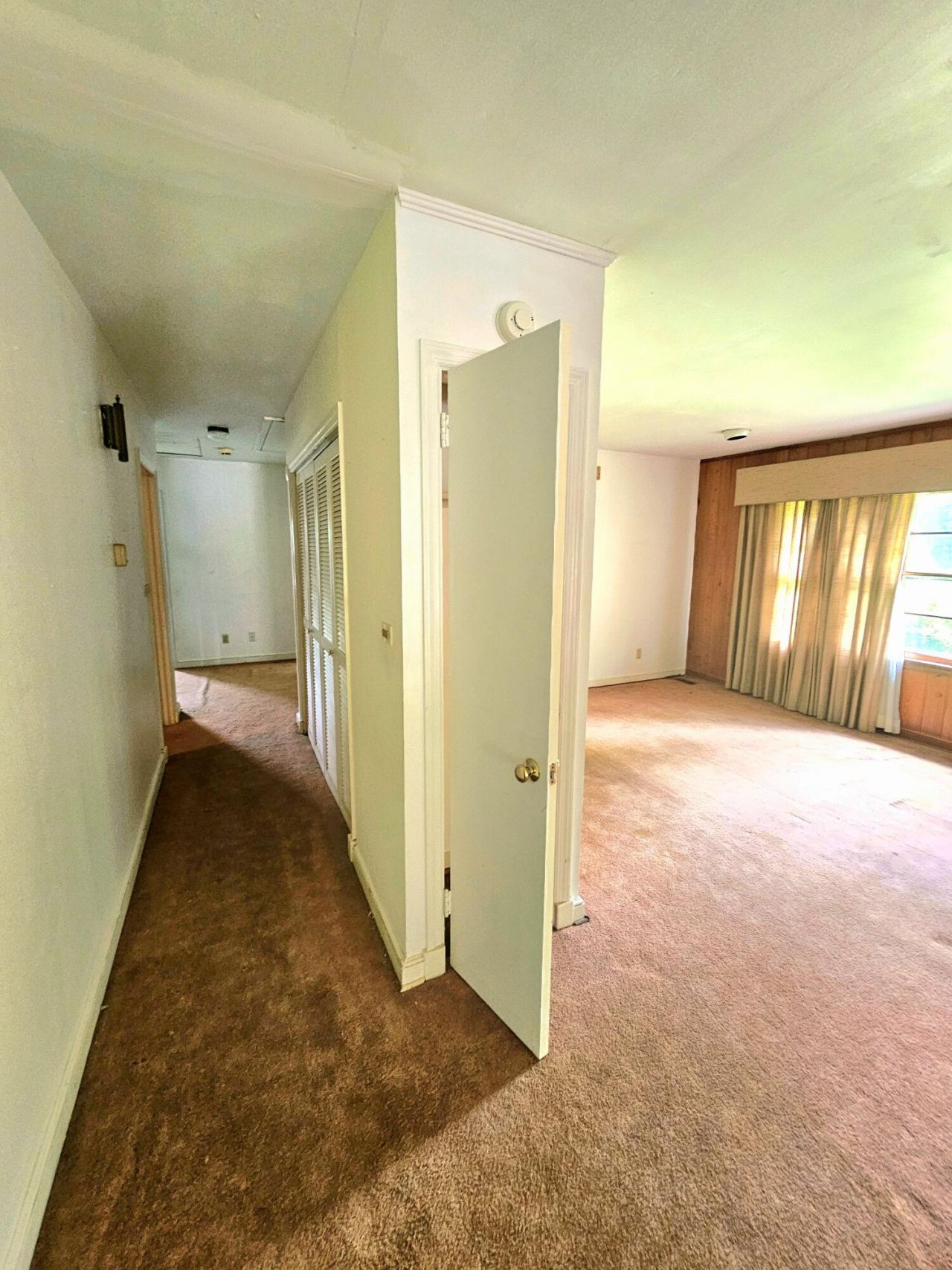 213 Maner Drive Photo 23