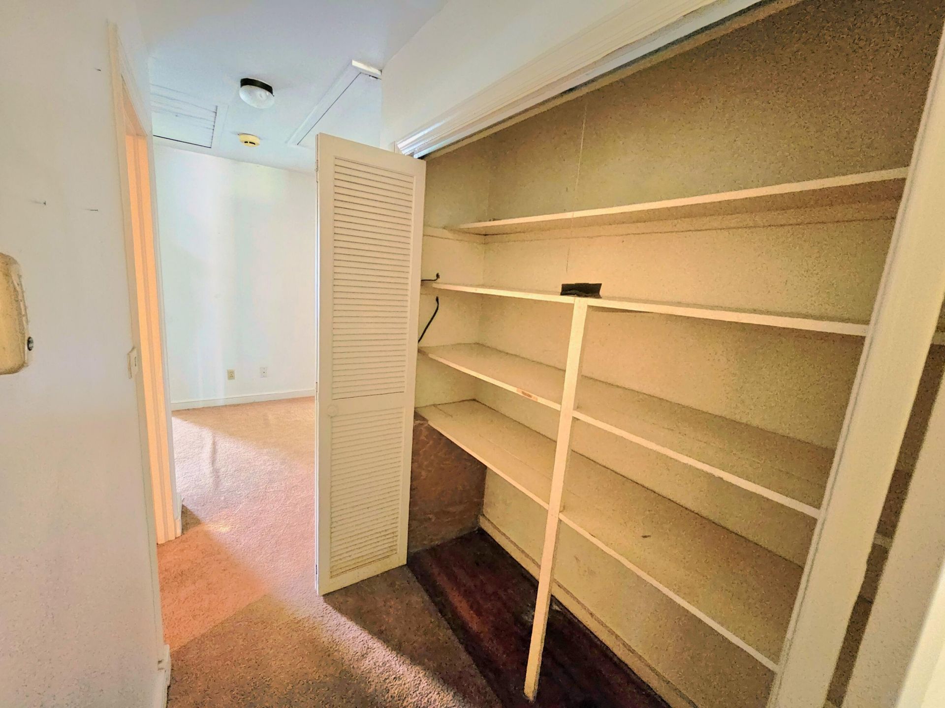 213 Maner Drive Photo 24
